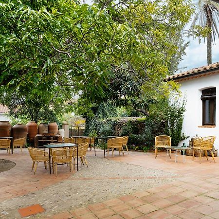גואדלופה Apartamentos Turisticos El Patio Del Nogal מראה חיצוני תמונה