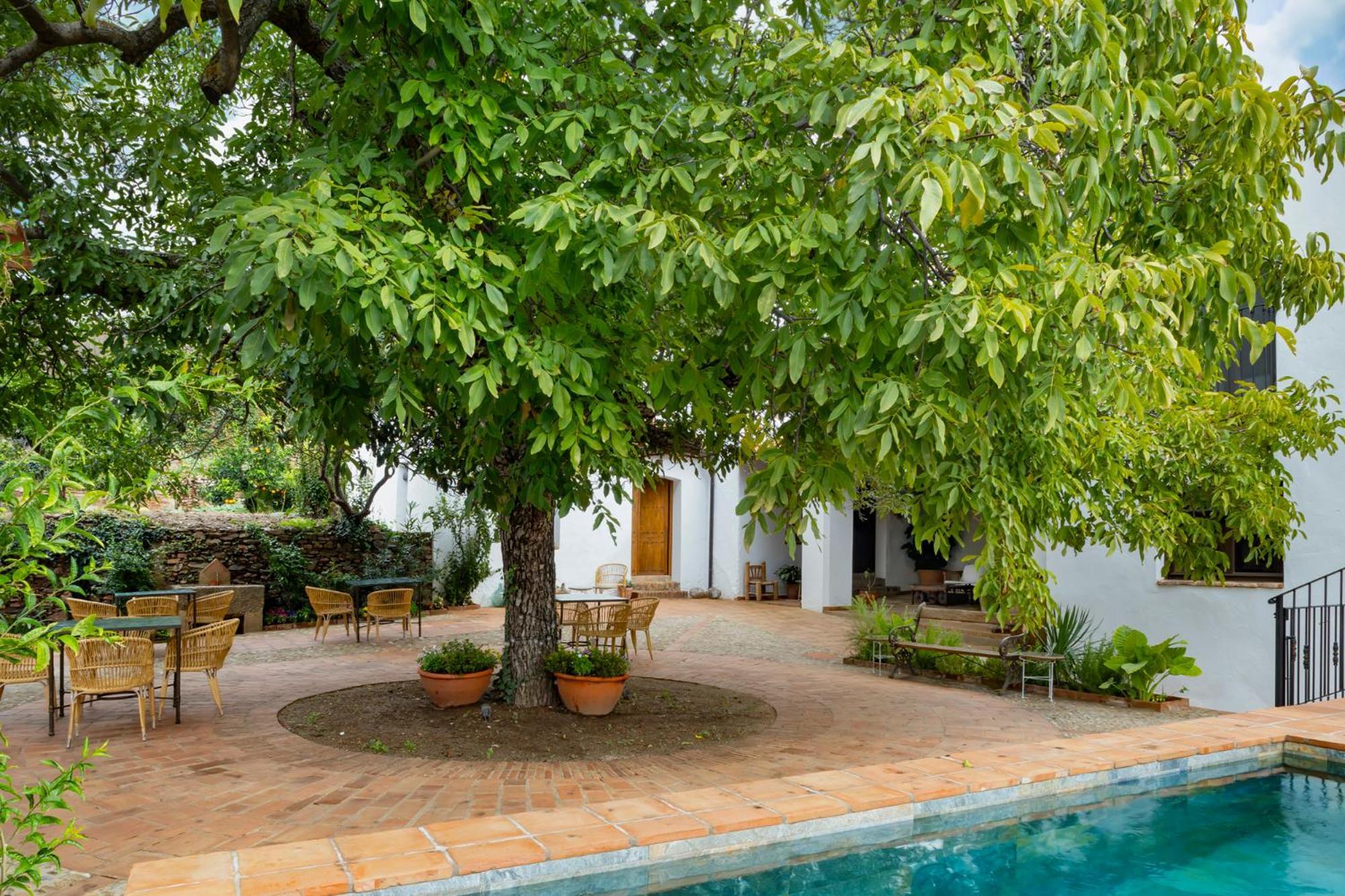 גואדלופה Apartamentos Turisticos El Patio Del Nogal מראה חיצוני תמונה