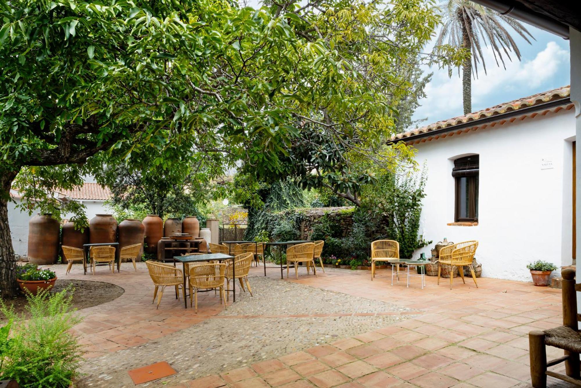 גואדלופה Apartamentos Turisticos El Patio Del Nogal מראה חיצוני תמונה