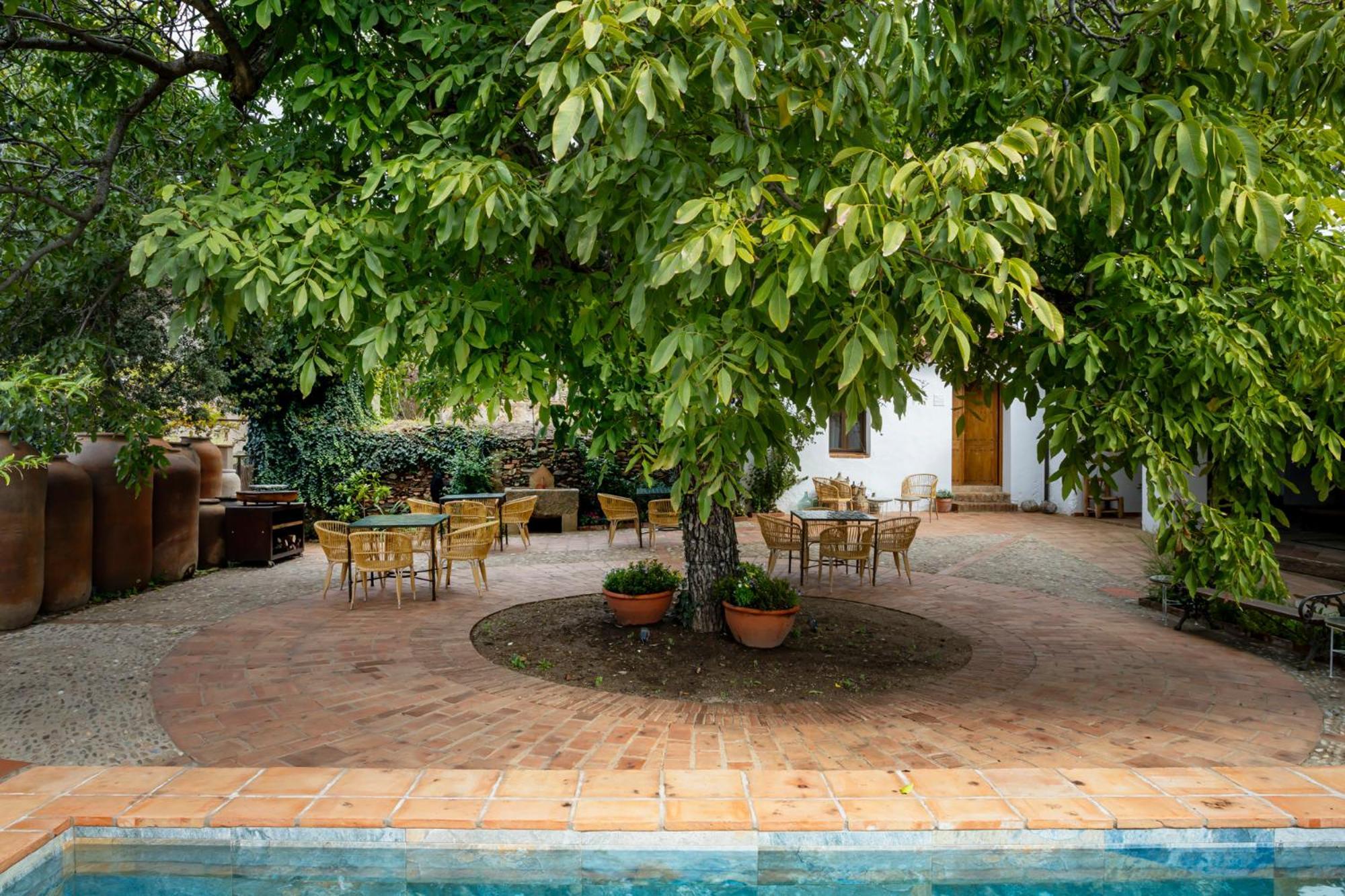 גואדלופה Apartamentos Turisticos El Patio Del Nogal מראה חיצוני תמונה